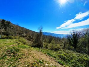 TERRENO E VISTA