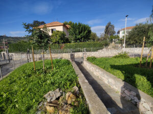 VISTA GIARDINO ESTERNO