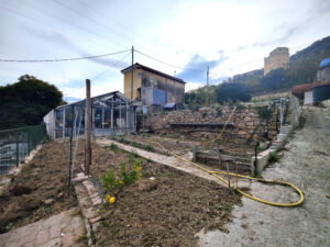 TERRENO LIVELLO 1