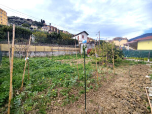 TERRENO LIVELLO 2